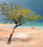 גזים במערכת העיכול - תמונת אווירה